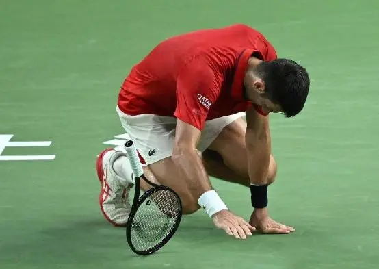 坚持完赛, 德梅托娃, 年澳网前说