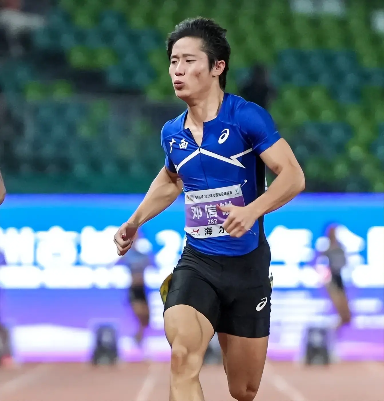 博戈在第, img 博戈在第, img